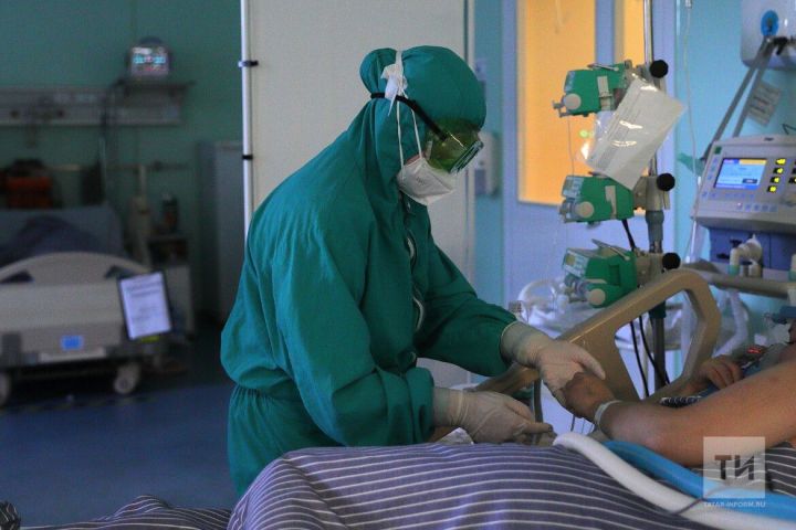Как не подхватить лихорадку на даче? Пошаговая инструкция от Роспотребнадзора