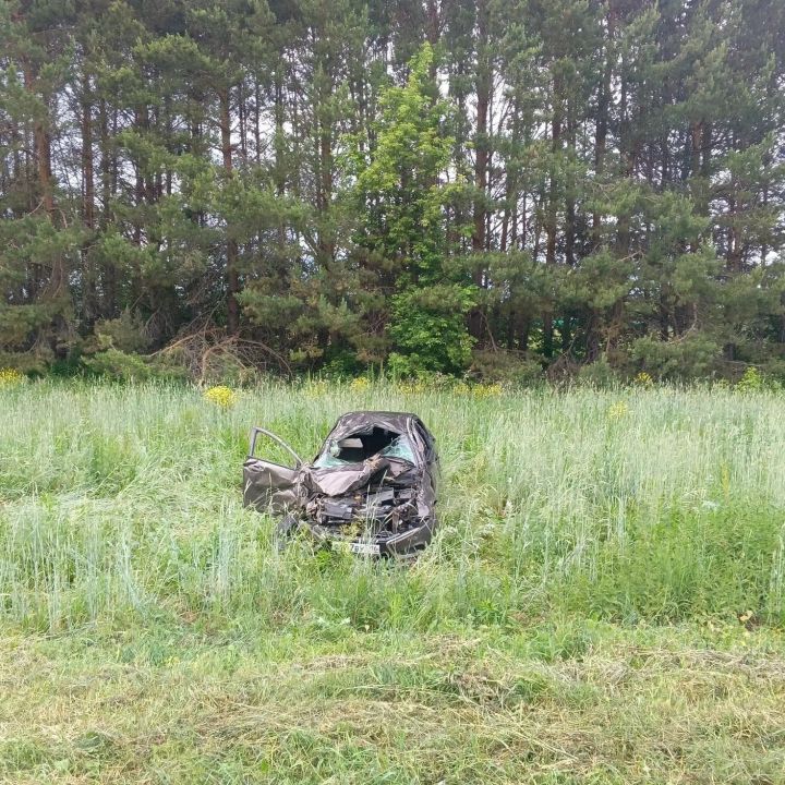 В Агрызском районе произошло смертельное ДТП