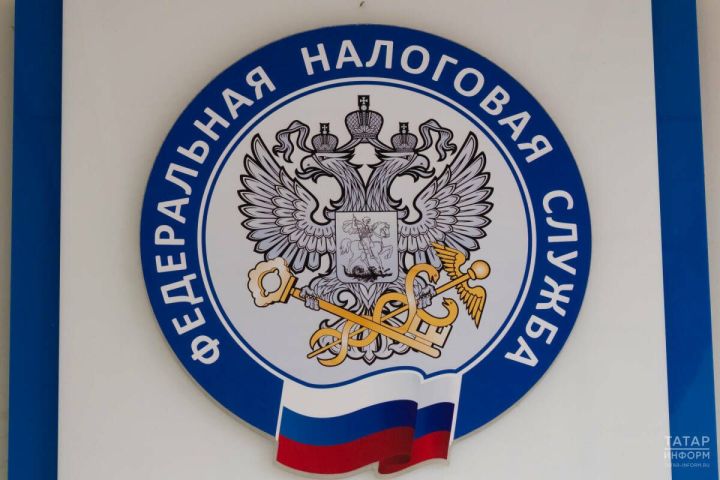 Жителям Татарстана напомнили, как онлайн проверить актуальность данных о своем имуществе
