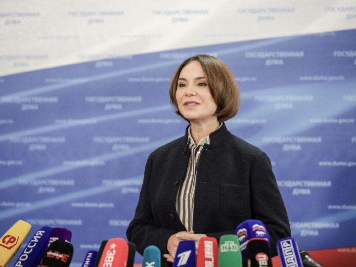Альфия Когогина выступила за государственную поддержку самозанятых и индивидуальных предпринимателей